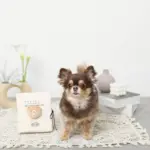 ノーズワークナチュラルブックおもちゃ