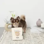 ノーズワークナチュラルブックおもちゃ