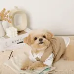 ノーズワークナチュラルブックおもちゃ