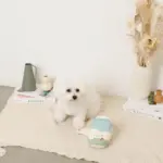 ノーズワークミルクのおもちゃ