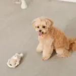 サークルロープうさぎさんぬいぐるみ