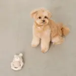 サークルロープうさぎさんぬいぐるみ