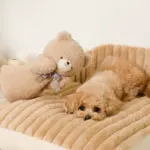 くまさんハンドパペット