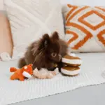 ちいさなナマケモノさん