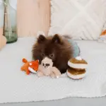 ちいさなナマケモノさん