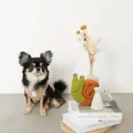 かたつむりノーズワークおもちゃ