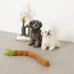 かたつむりノーズワークおもちゃ