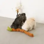 かたつむりノーズワークおもちゃ