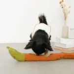 かたつむりノーズワークおもちゃ