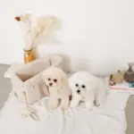 フラワーロープぬいぐるみ