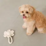 フラワーロープぬいぐるみ