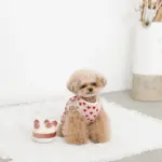 ホールケーキぬいぐるみ