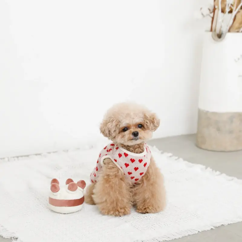 ホールケーキぬいぐるみ