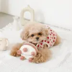 ホールケーキぬいぐるみ