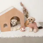 ホールケーキぬいぐるみ