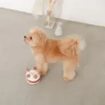 ホールケーキぬいぐるみ