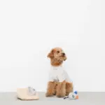 チーズとねずみさん