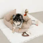 ハートのロープおもちゃSET