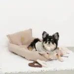 ハートのロープおもちゃSET