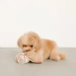 ノーズワークコーヒーカップぬいぐるみ