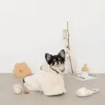 ノーズワークコーヒーカップぬいぐるみ