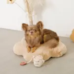 ノーズワークコーヒーカップぬいぐるみ