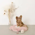 ノーズワークコーヒーカップぬいぐるみ