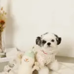 デンタルロープスノーマンぬいぐるみ