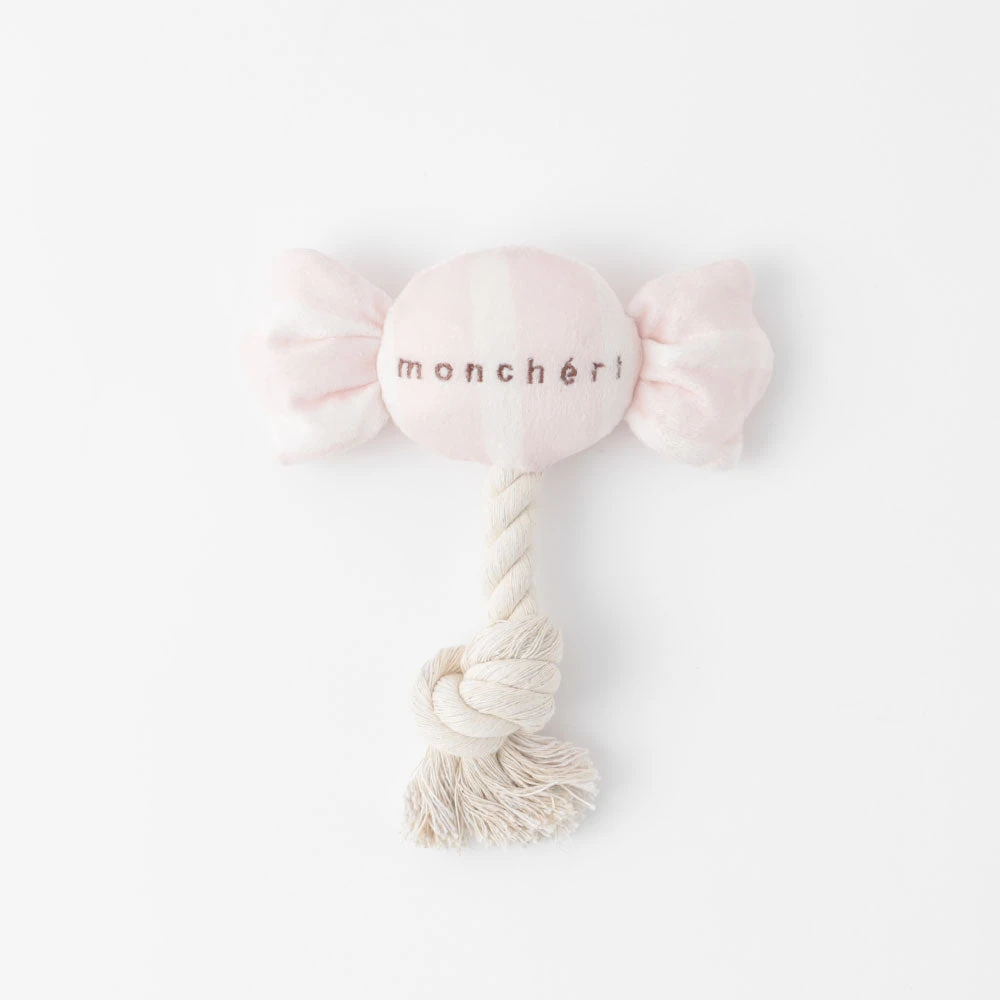 product_image_1763715174 デンタルロープキャンディ