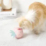 デンタルメッシュノーズワークストロベリー