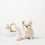 デンタルメッシュノーズワークストロベリー