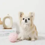 デンタルメッシュノーズワークストロベリー