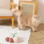 デンタルメッシュノーズワークストロベリー