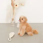 スリッパロープトイ