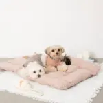 スリッパロープトイ