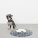 ノーズワークバイカラーマット