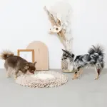 ノーズワークバイカラーマット