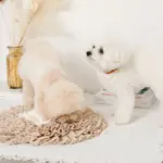 ノーズワークバイカラーマット