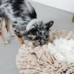 ノーズワークバイカラーマット