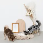 ノーズワークバイカラーマット