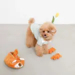 くまさんスリッパとなかまたちのおもちゃ