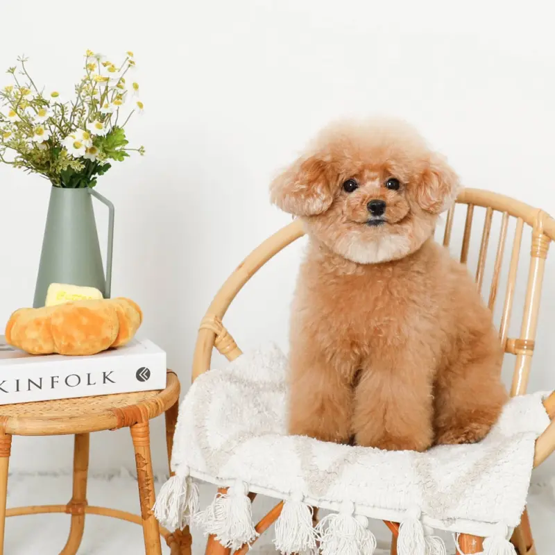 クロワッサンとバターのノーズワークぬいぐるみ