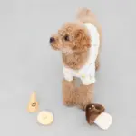 きのこのノーズワークおもちゃ