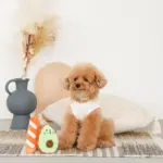 アボカドとパンのおもちゃ