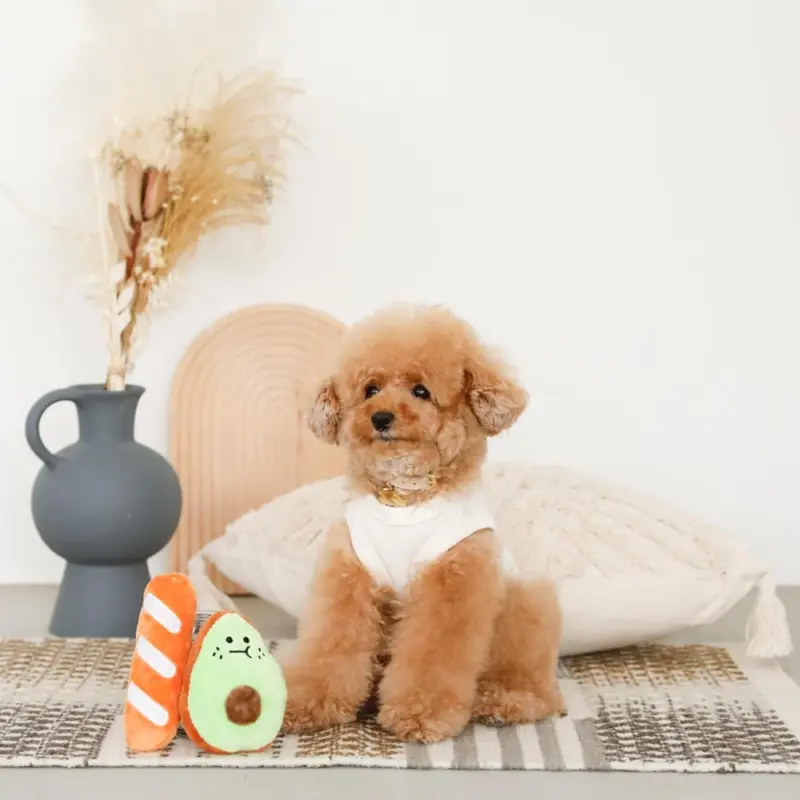 アボカドとパンのおもちゃ