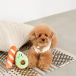 アボカドとパンのおもちゃ