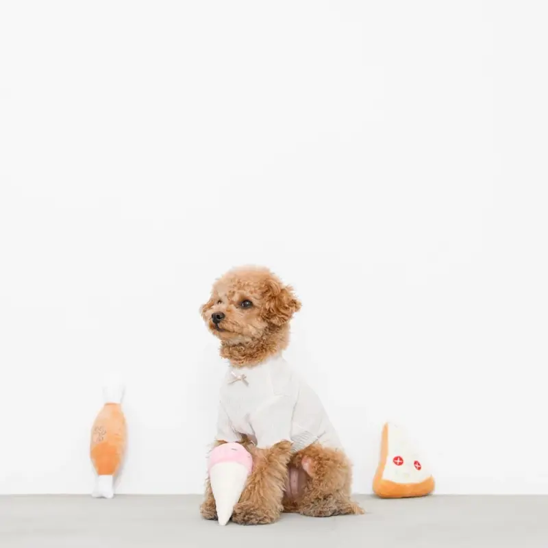 パーティーセットのおもちゃ