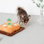 ノーズワーク4つのにんじん畑のおもちゃ