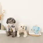 ビックイヤーぞうさんぬいぐるみ