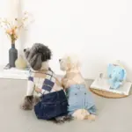 ビックイヤーぞうさんぬいぐるみ